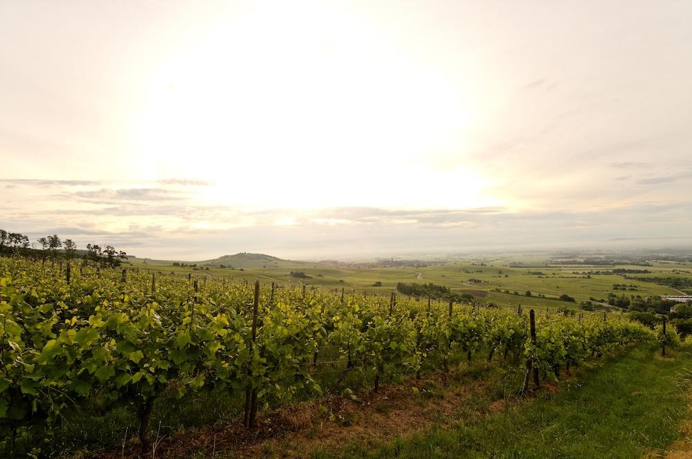 Le Clos Saint-Vincent รีโบวิลเล ภายนอก รูปภาพ