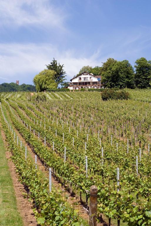 Le Clos Saint-Vincent รีโบวิลเล ภายนอก รูปภาพ