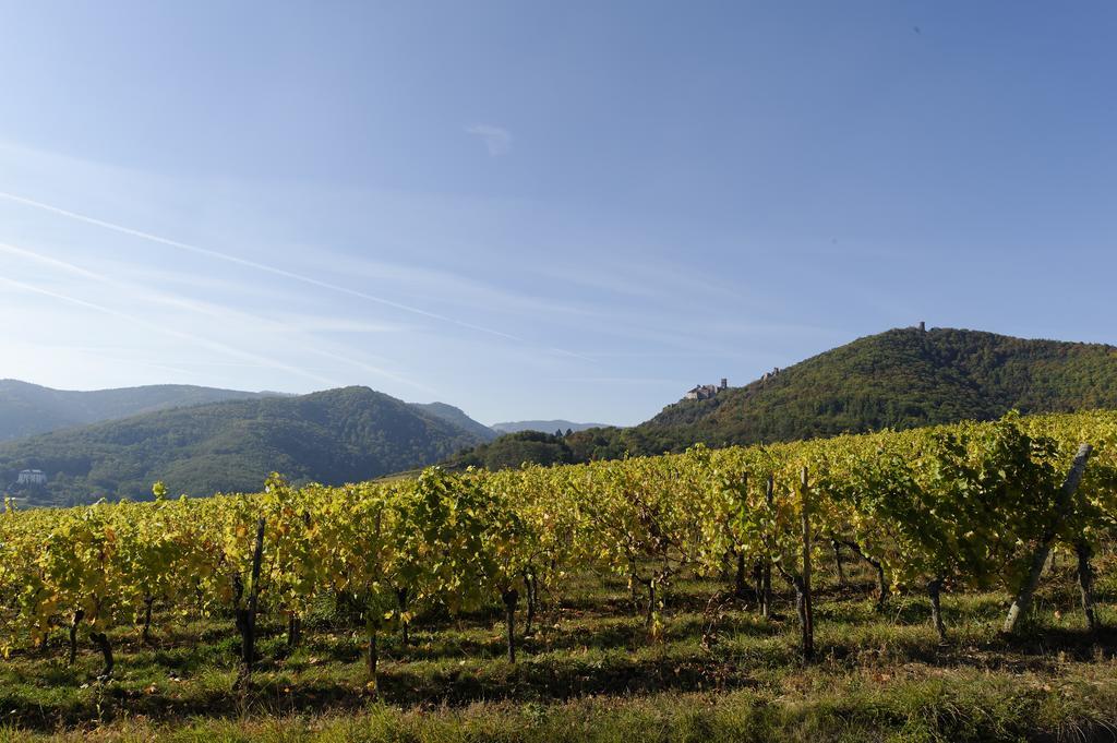Le Clos Saint-Vincent รีโบวิลเล ภายนอก รูปภาพ