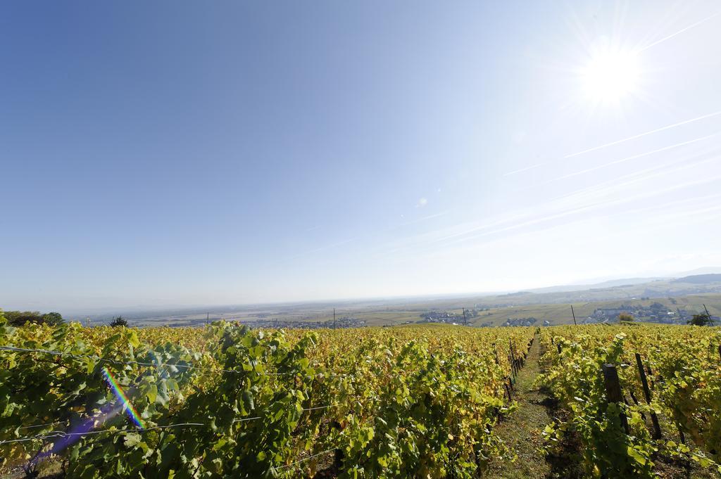 Le Clos Saint-Vincent รีโบวิลเล ภายนอก รูปภาพ
